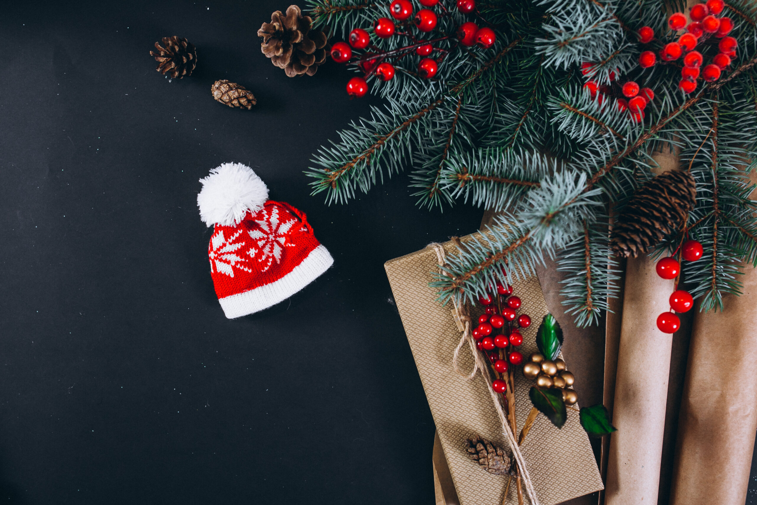 Aperçu menu de Noël